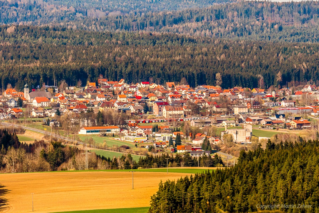 Foto: Martin Zehrer - Frühling auf dem Armesberg. Erste Hummeln fliegen durch die Gegend. Schmetterlinge lassen sich entdecken. Grüne kleine Pflanzen drücken mit aller Kraft durch das Herbstla 