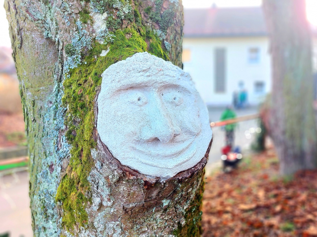 Foto: Martin Zehrer - Ein Baumgesicht, gesehen auf dem Röthenbacher Weihnachtsmarkt! 