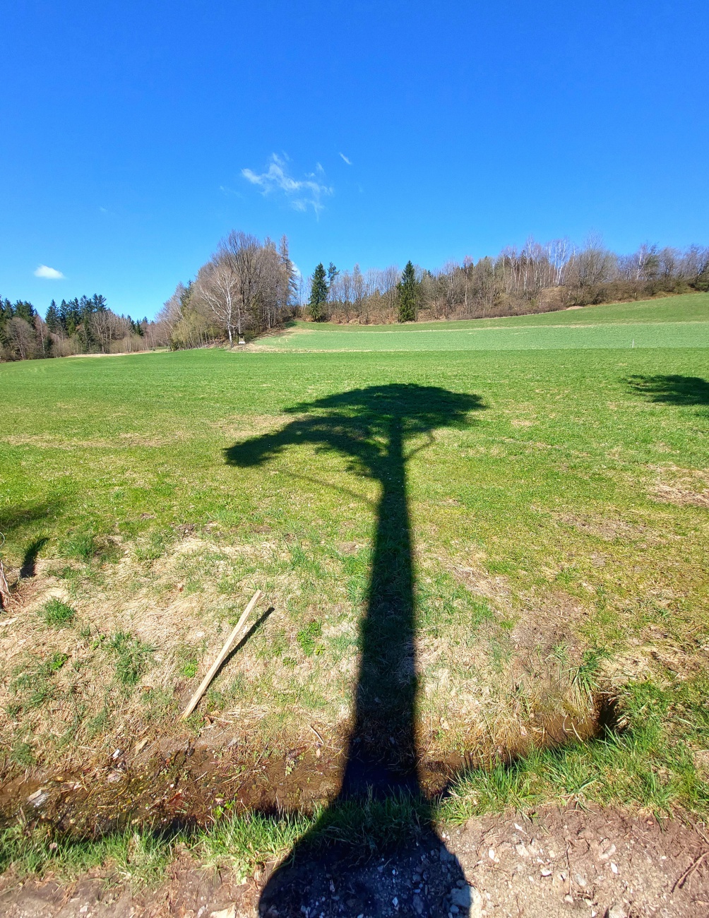 Foto: Martin Zehrer - Endlich Frühling, 16. April 2022!<br />
<br />
Der Tag begann am Morgen mit bewölktem Himmel. Vormittags bahnte sich die Sonne den Weg durch die Wolken bis nur mehr wunderschönes B 