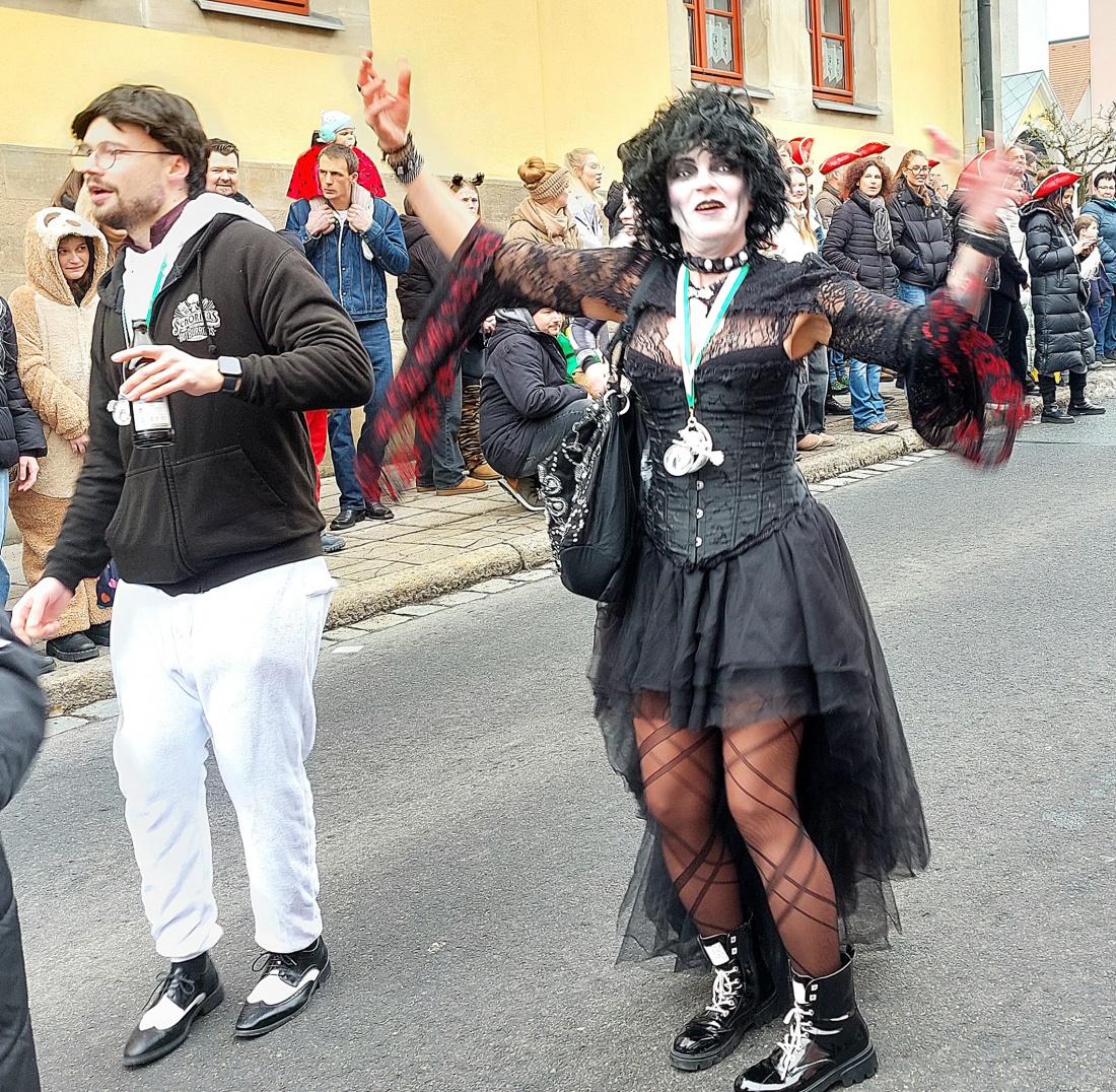 Faschingszug Pressath 2026