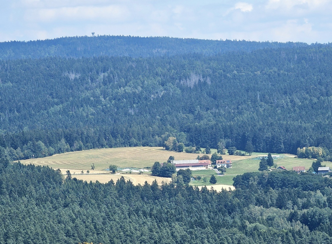 Blick vom Armesberg zum Steinwald

Ein beeindruckender Ausblick vom Armesberg eröffnet den Blick über die sanft geschwungene Landschaft der nördlichen Oberpfalz bis hin zum bewaldeten Höhenzug des Steinwaldes. Im Vordergrund prägen Felder, Wiesen und einzelne Bauernhöfe das typische Bild der heimischen Kulturlandschaft. Dahinter erhebt sich der dichte Mischwald des Steinwaldes, dessen markante Höhenzüge die Region seit Jahrhunderten prägen.

An klaren Tagen lässt sich die abwechslungsreiche Landschaft besonders gut erkennen. Der Kontrast zwischen den offenen Feldern und den weitläufigen Wäldern verleiht diesem Panorama seinen besonderen Reiz. Der Armesberg zählt damit zu den schönsten Aussichtspunkten der Region und lädt Naturfreunde, Wanderer und Fotografen immer wieder zum Verweilen ein.

Dieses Foto zeigt eindrucksvoll die Ruhe und Schönheit der Oberpfälzer Landschaft – ein Stück unverfälschte Natur zwischen Kemnath und dem Steinwald.