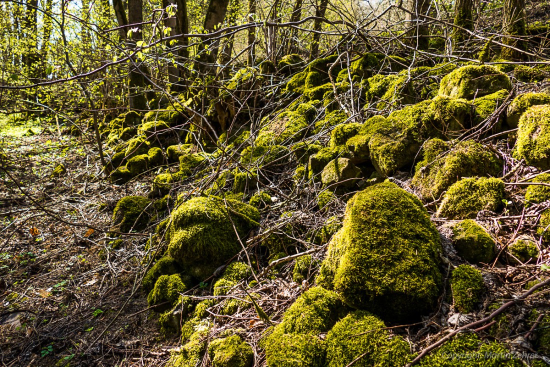 Foto: Martin Zehrer - Steinhaufen nicht natürlichen Ursprungs. Gefunden am Fuße des Schlossbergs bei Waldeck in einem Waldstück. 