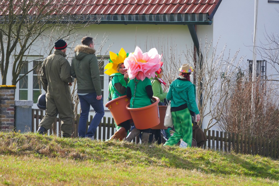 Foto: Martin Zehrer - Blumentöpfe on Tour ;-)<br />
<br />
44. Faschingszug durch Waldeck am 7. Februar 2016!<br />
<br />
Tanzen, lachen und Gaudi machen ;-)<br />
<br />
Viele Gaudiwagen und unzählige Besucher trafen in  