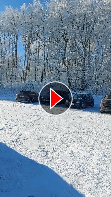 Titelbild zum Video