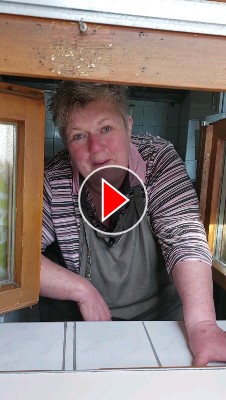 Titelbild zum Video