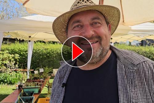 Titelbild zum Video